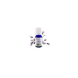Huile essentielle de lavandin abrialis ab 10ml