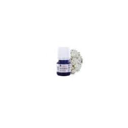 Huile essentielle de ledon du groenland cosmos organic 2ml