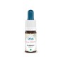 Elixir floral bach cerato (plumbago) 15ml