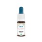 Elixir floral bach gentian (gentiane) 15ml