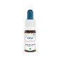 Elixir floral bach mimulus (mimule) 15ml