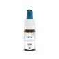 Elixir floral bach vine (vigne) 10ml
