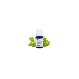 Huile essentielle d'origan compact ab 10ml