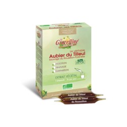 Aubier de tilleul 30 ampoules