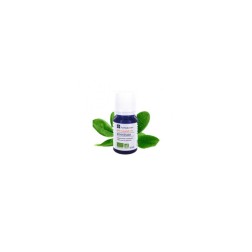 Huile essentielle de ravintsara ab 10ml