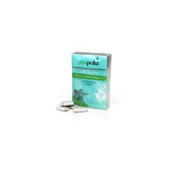 Chewing gums propolis menthe