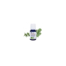 Huile essentielle de romarin camphre ab 10ml