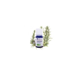 Huile essentielle de romarin verbenone ab 10ml