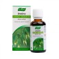 Extrait de plante fraîche Avoine 50 ml Extrait de plante fraîche Avoine 50 ml