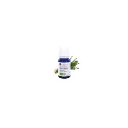 Huile essentielle de thym a thymol ab 5ml