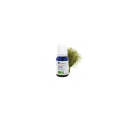 Huile essentielle de vetiver ab 5ml