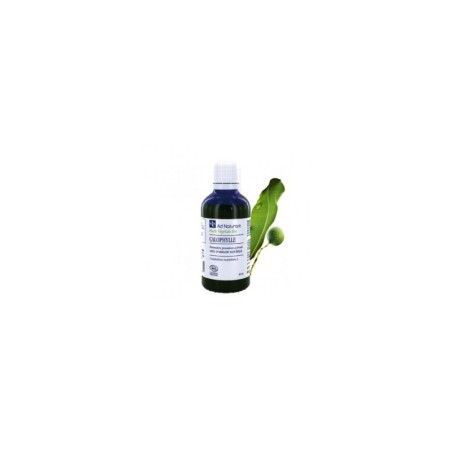 Huile Végétale Calophylle Bio 50ml
