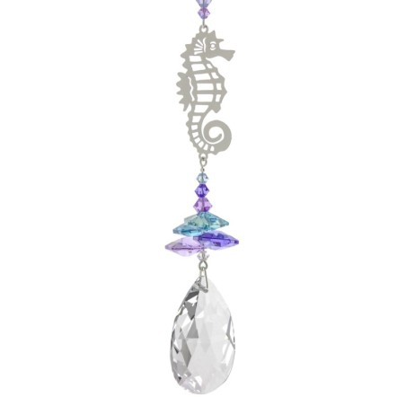 Fantaisie de cristal hippocampe