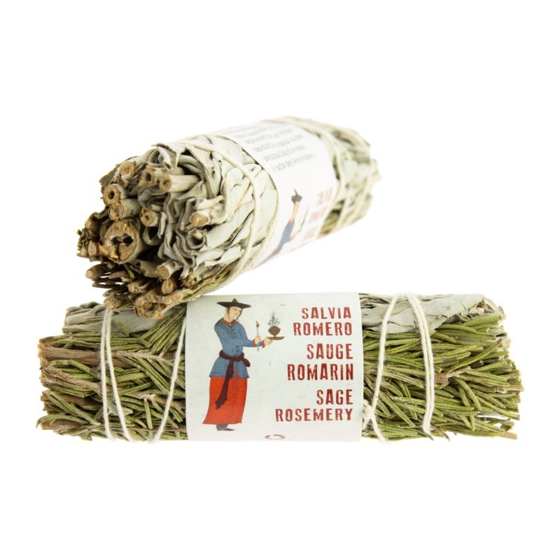 Sauge blanche de Californie romarin 8-10cm Sauge blanche de Californie romarin 8-10cm
