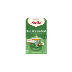 Bien etre intestinal 17 sachets