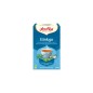 Ginkgo 17 sachets