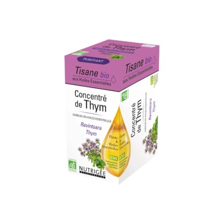 Tisane concentre de thym bio 20 sachets