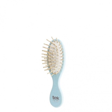 Petite brosse frene bleue 132035