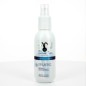 Déodorant spray alun