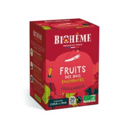 Fruits des bois enchantés bio 20 infusettes