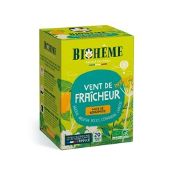 Vent de fraîcheur bio 20 infusettes