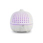 Diffuseur Orora Bois Blanc