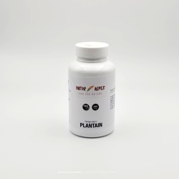 Plantain 250mg 180 gelules