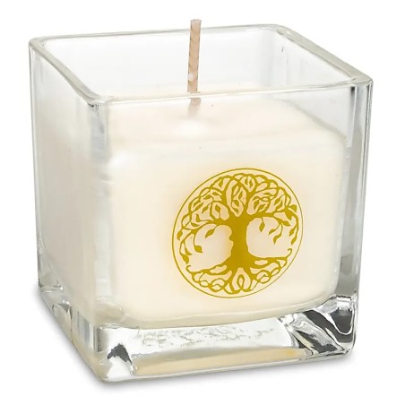 Bougie cire de colza arbre de vie