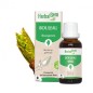 Bouleau bio 30ml