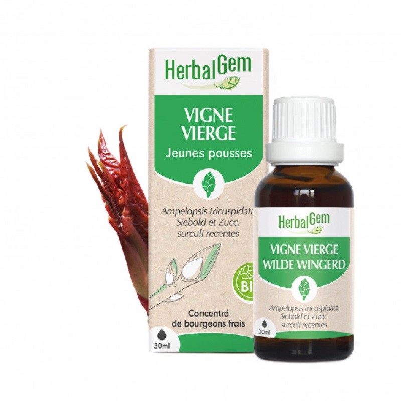 Vigne vierge bio 30ml