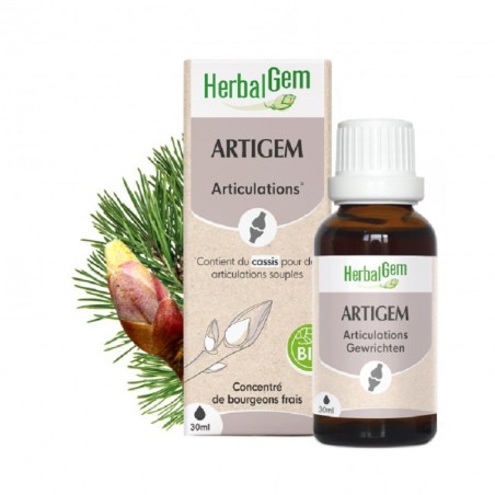 Artigem articulations bio 30ml