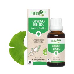 Ginkgo Biloba bio 30ml