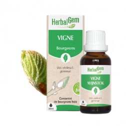 Vigne bio 30ml