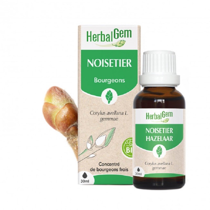 Noisetier bio 30ml