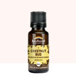 Chestnut Bud (Marronnier) N°7 granules bio