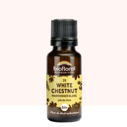 White Chestnut (Marronnier Blanc) N°35 granules bio