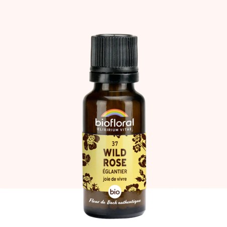 Wild rose (Eglantier) N°37 granules bio