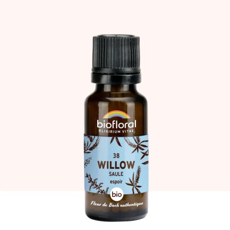 Willow (Saule) N°38 granules bio