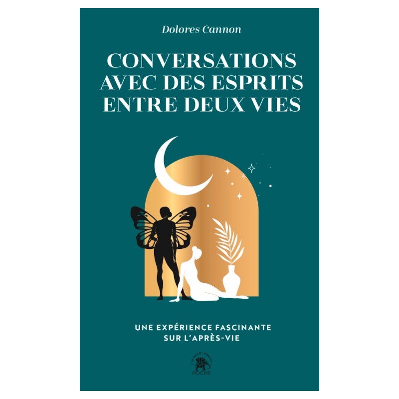 Conversations avec des esprits entre deux vies de Dolores Cannon