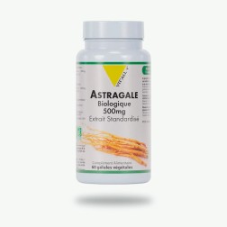 Astragale bio 500mg 60 gélules