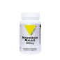 Magnésium Malate 500mg 60 gélules Magnésium Malate 500mg 60 gélules