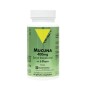 Mucuna 400mg 60 Gélules Mucuna 400mg 60 Gélules