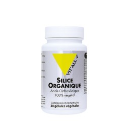 Silice organique 100mg 30 gelules