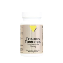 Tribulus 300mg 60 comprimes