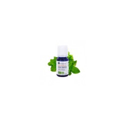 Huile essentielle de basilic tropical ab 10ml