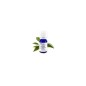 Huile Essentielle Bois de Hô Conventionnel 10ml Huile Essentielle Bois de Hô Conventionnel 10ml