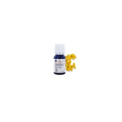 Huile essentielle de camomille bleue cosmos organic 5ml