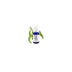 Huile essentielle de camphre conventionnel 10ml