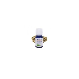 Huile essentielle de coriandre graine ab 10ml
