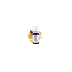 Huile essentielle d'elemi conventionnel 10ml